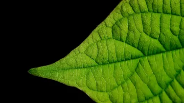 STEM Challenges 2025