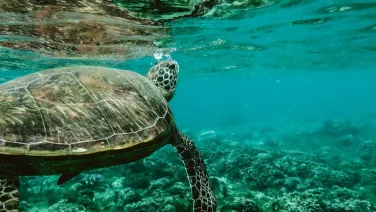 Master Science Earth Sciences