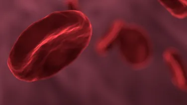 Red blood cells