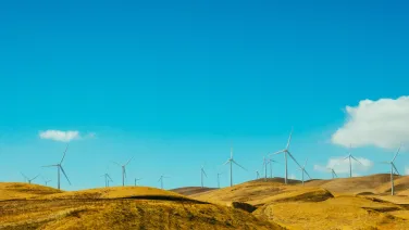 A landscape with wind turbines